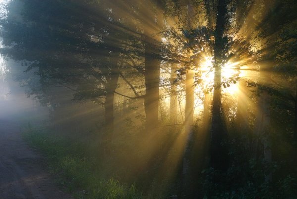 В Луче света