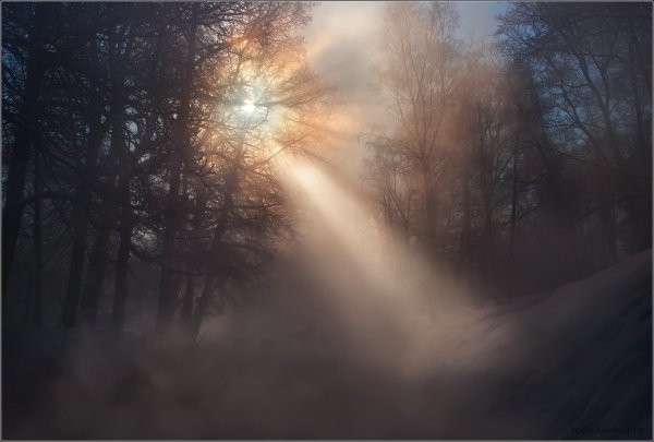 Луч света в тумане