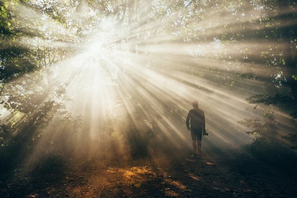 Лучи солнца