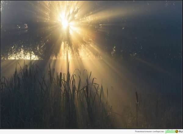 Луч надежды