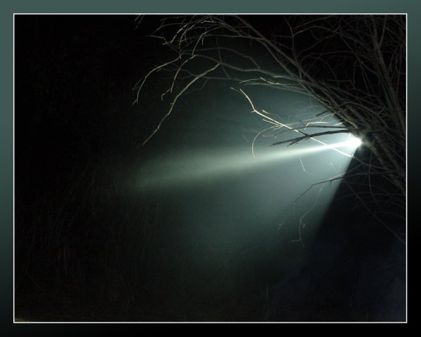 Ты лучик света в темном царстве