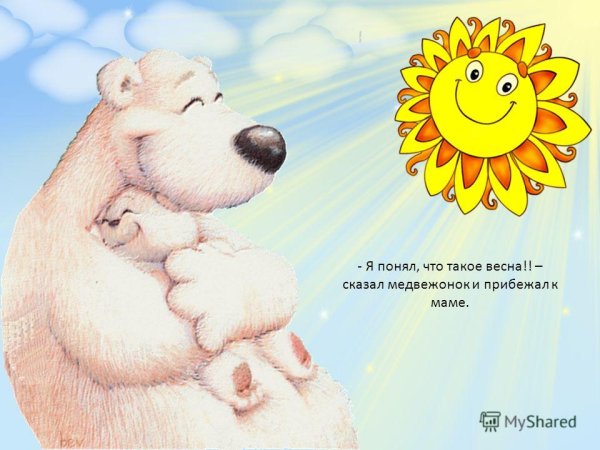 Медвежонок и солнышко