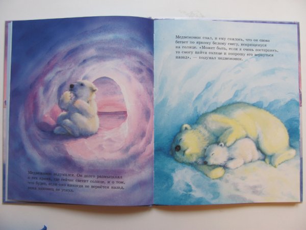 Книга как Медвежонок солнце искал