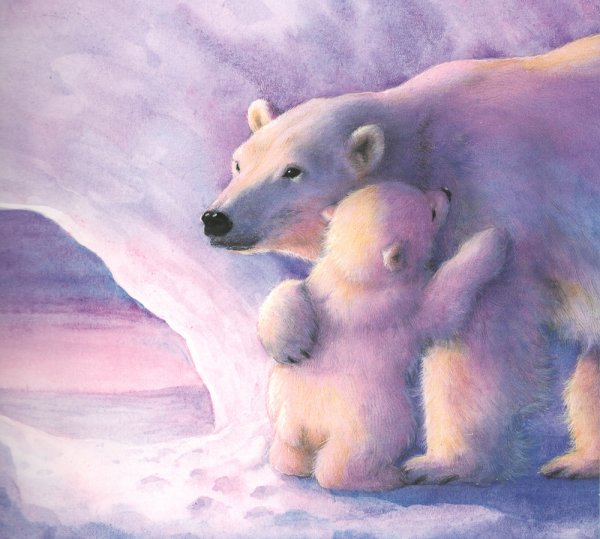 Роберт Бисселл медведь