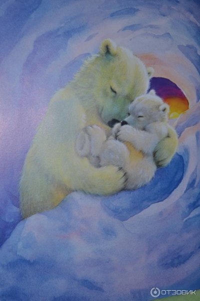 Краденое солнце медведь плачет