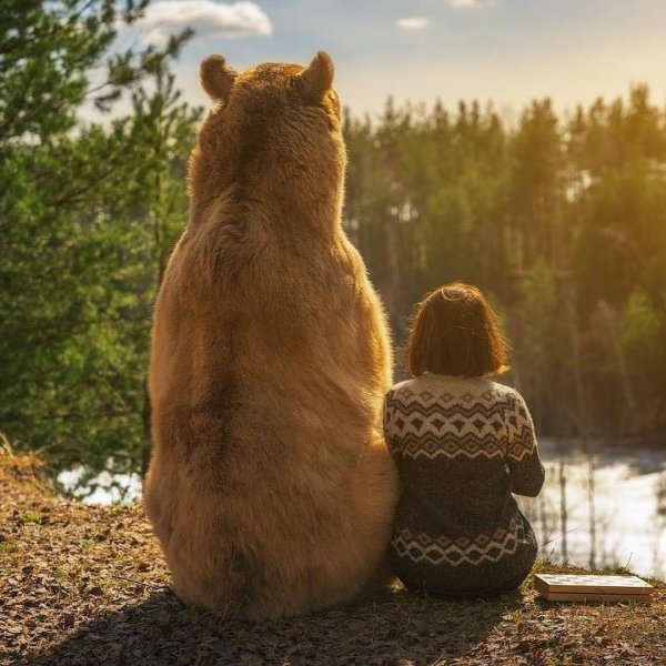 Белый медведь на закате