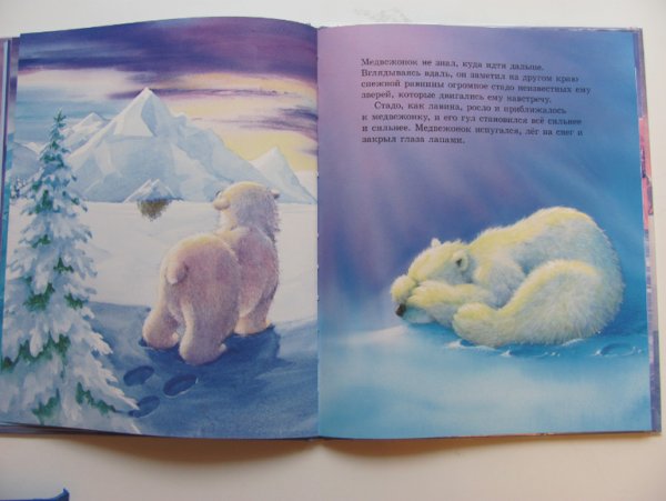 Открытки с добрым утром с медведями