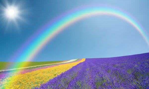 Красивое солнце