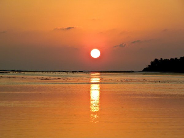 Тропики Шри Ланки