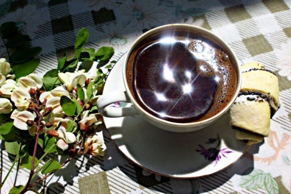 Чашечка чая на природе