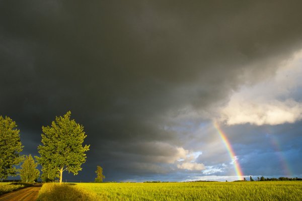 Солнце после дождя