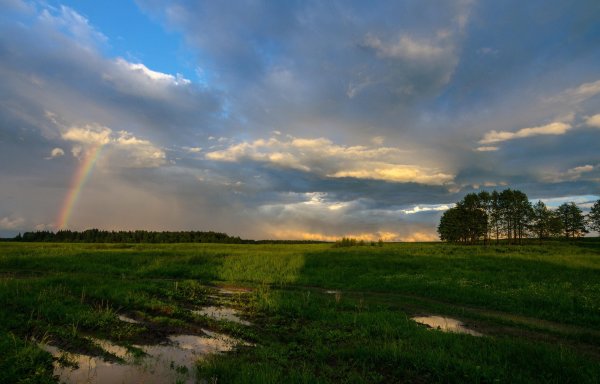 Солнце после грозы в деревне