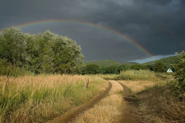 Осенняя Радуга