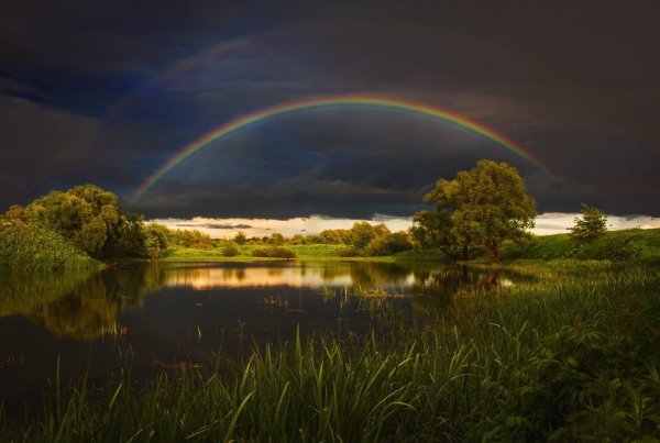 Весна дождь Радуга