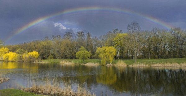 Весна дождь Радуга