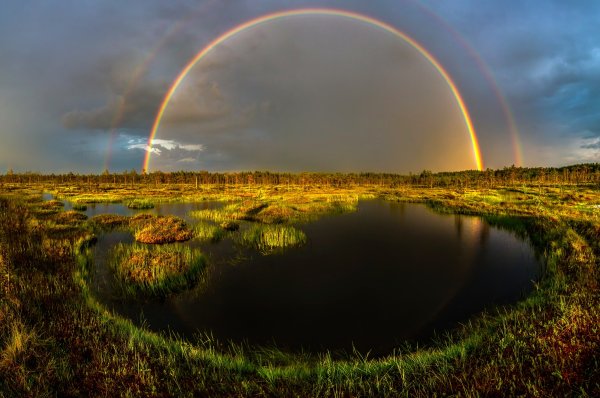 Природа лето Радуга