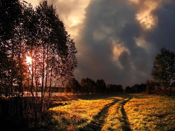 Природа перед грозой