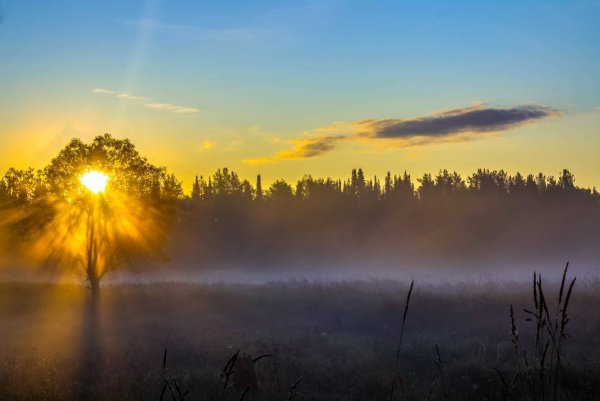 Рассвет первый Луч