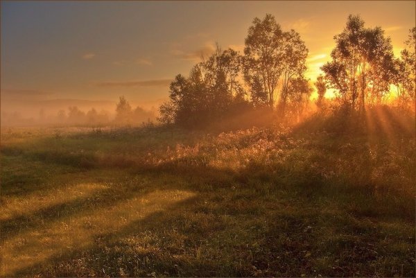 Рассвет первый Луч