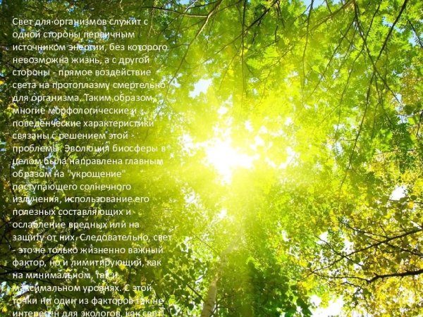 Доброе утро солнышко в окно