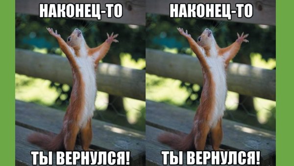 Наконец то вернулась