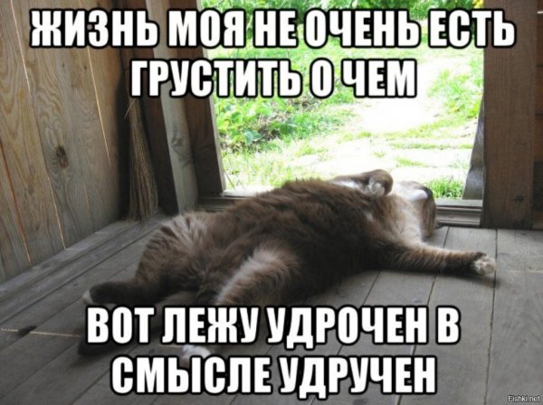 Словно два магнита