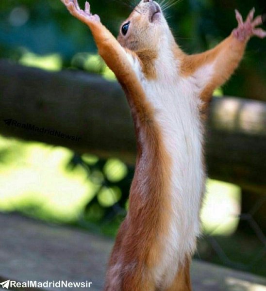 ХАЛЯВА приди