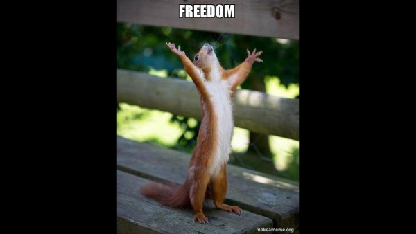 У вас дождь идет а у нас