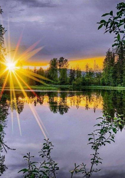 Утреннее солнце