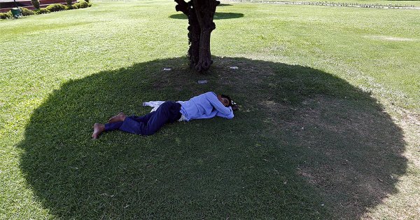 Человек в тени дерева