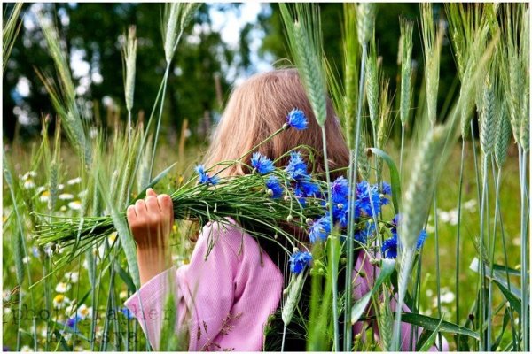 Полевые цветы,люди