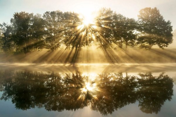 Красивый утренний рассвет