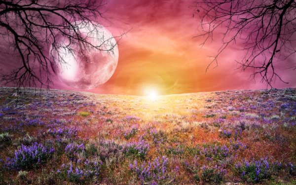 Фэнтези природа