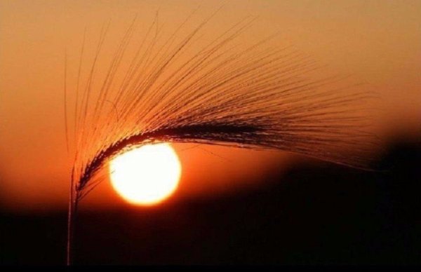 Глаза в небе