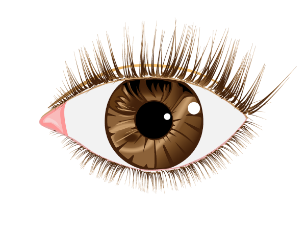 Снег на ресницах