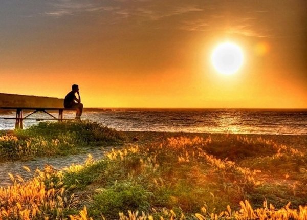 Ромашки на закате