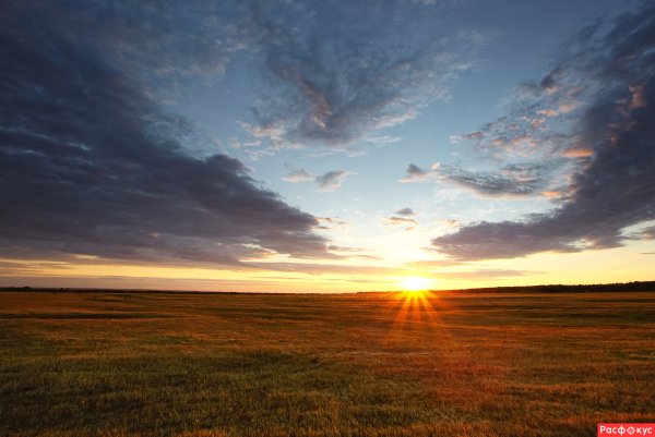 Рассвет в степи