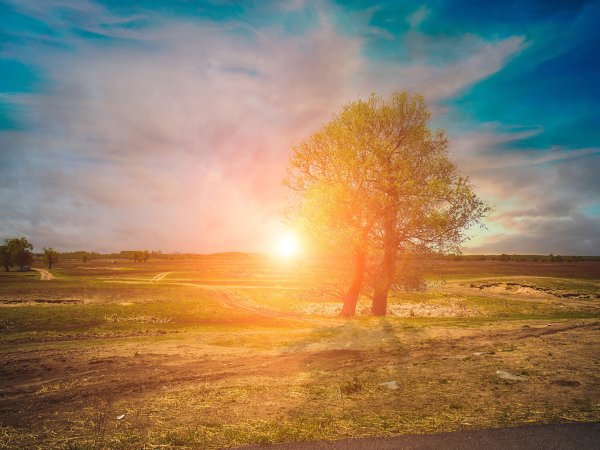 Рассвет в степи Саврасов