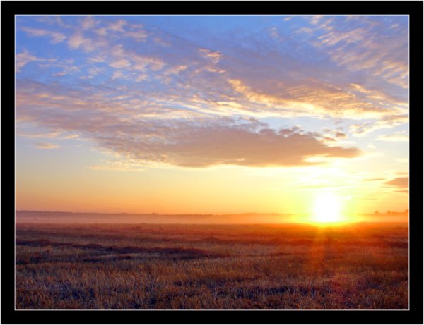 Утро в степи