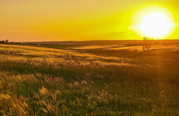 Солнце в степи