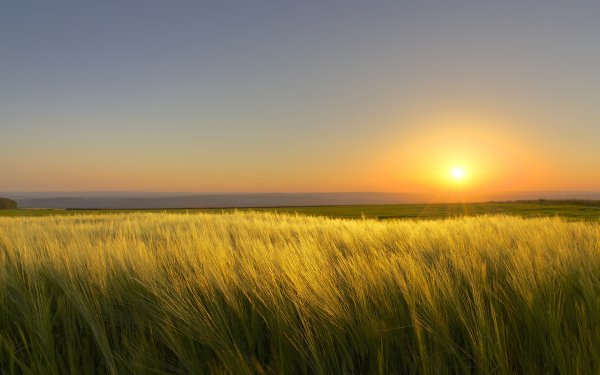 Закат на равнине