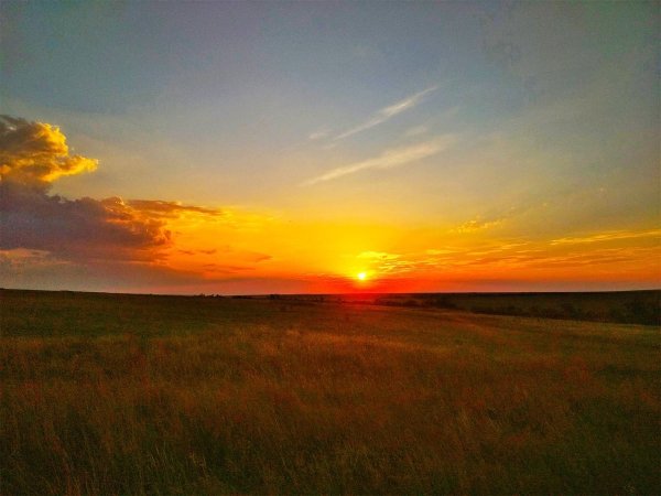 Закат в степи