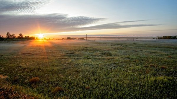 Рассвет в степи Саврасов