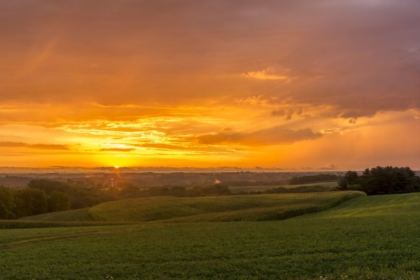 Лето в степи