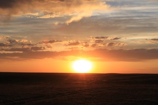 Степь вечером