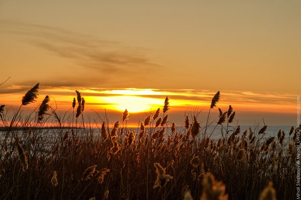 Солнце в тундре