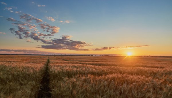 Восход в степи
