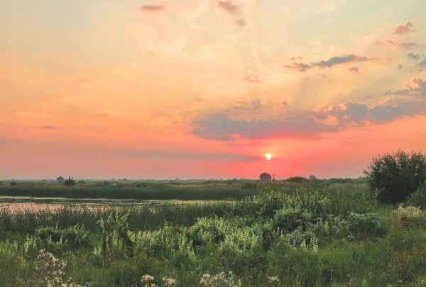 Рассвет в поле