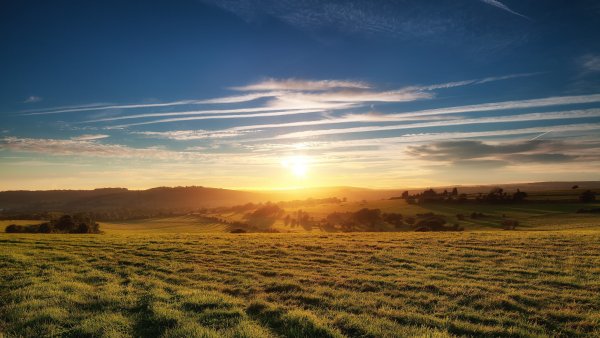 Узбекистан холмы поле