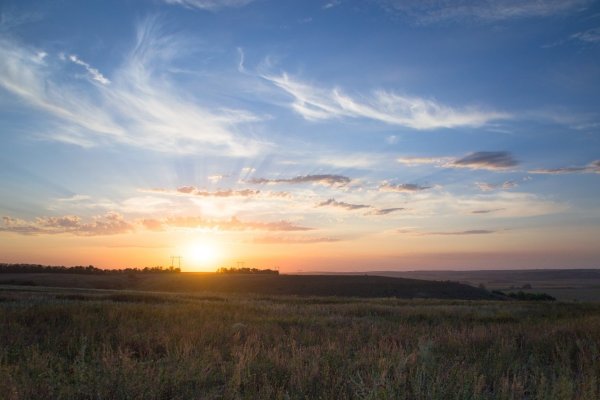 Утро в степи